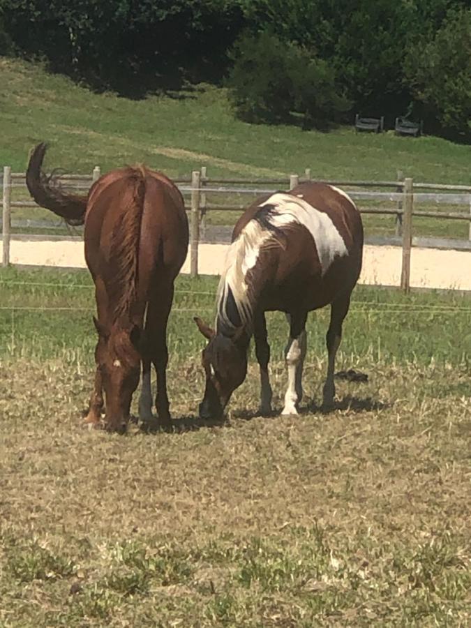 Holiday home Equestre Du Dourdu